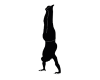 30 Secondi di Handstand